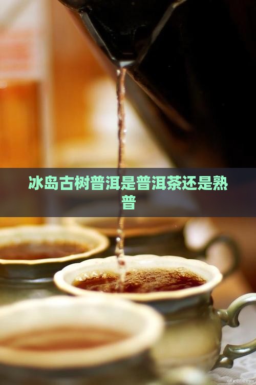 冰岛糯伍古树茶是熟普洱吗