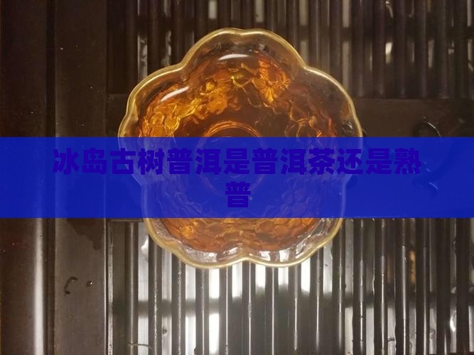 冰岛糯伍古树茶是熟普洱吗