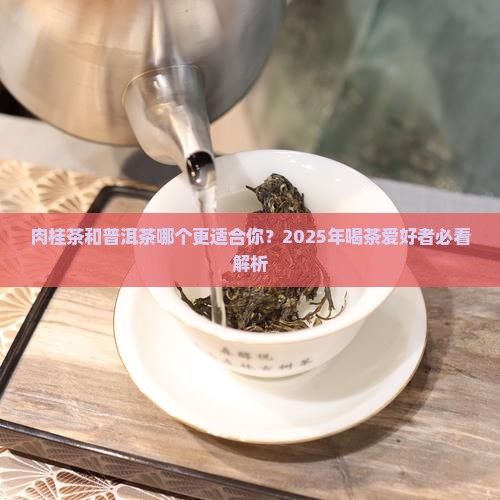 肉桂茶和普洱茶哪个好喝一点