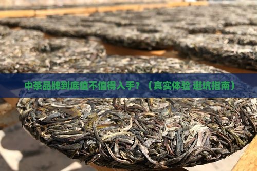 中茶品牌怎么样