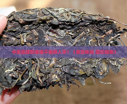 中茶品牌怎么样
