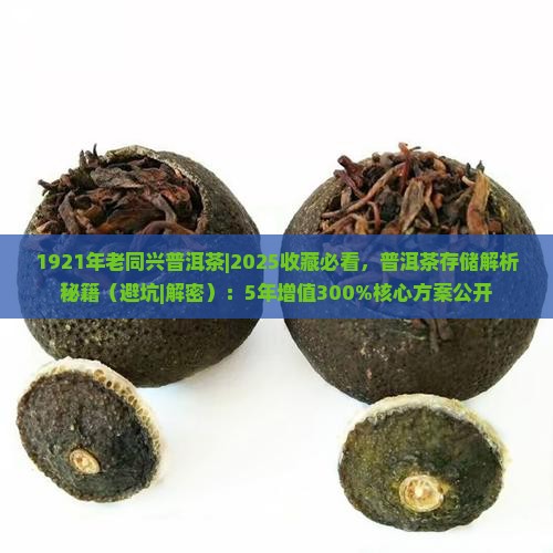 1921年老同兴普洱茶