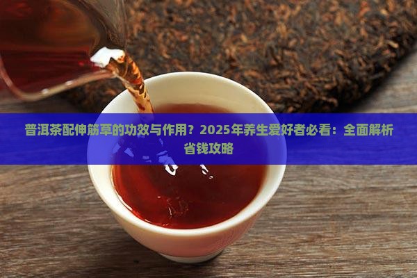 普洱茶配伸筋草功效与作用