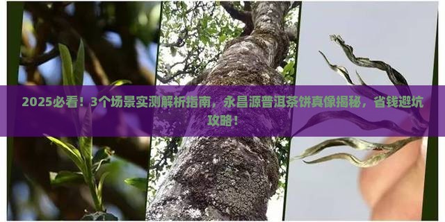 永昌源普洱茶饼
