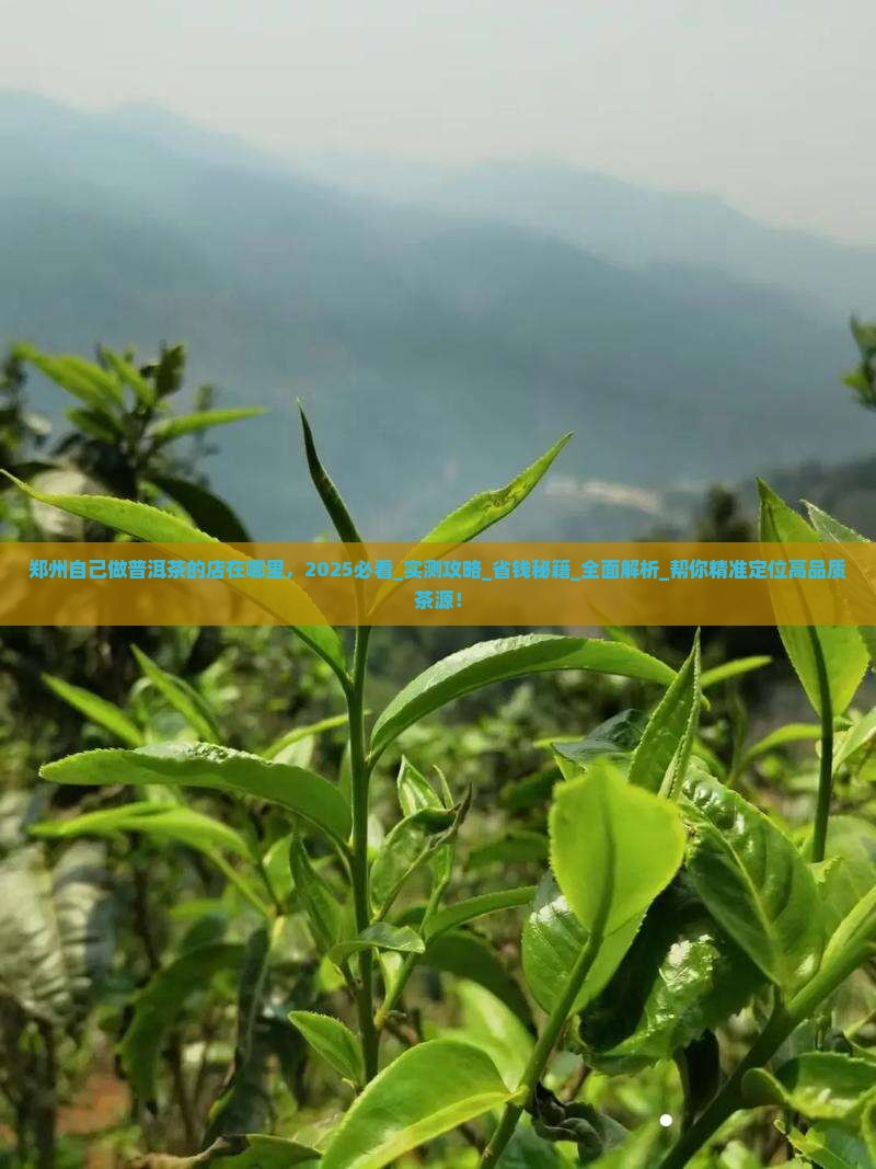郑州自己做普洱茶的店在哪里