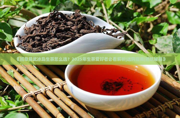 班章易武冰岛生茶