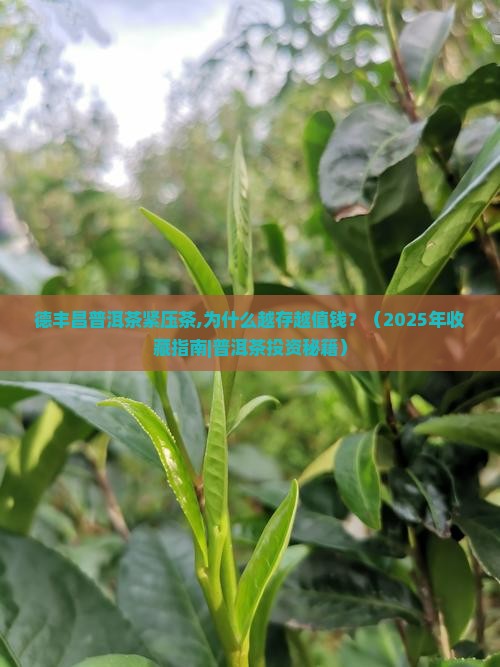 德丰昌普洱茶紧压茶