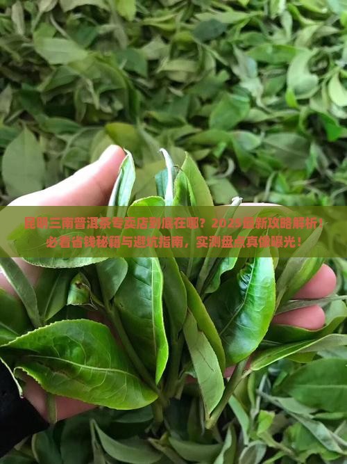昆明三南普洱茶专卖店在哪里