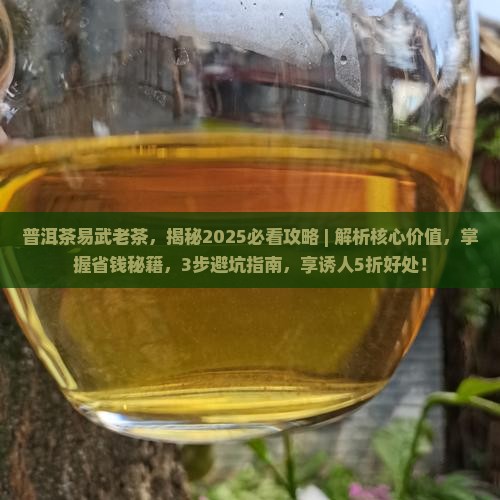 普洱茶易武老茶 普洱茶易武老茶