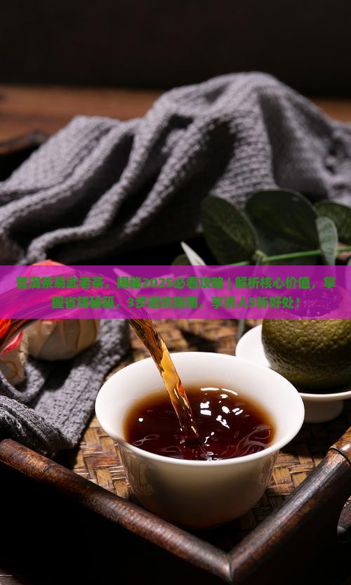 普洱茶易武老茶 普洱茶易武老茶
