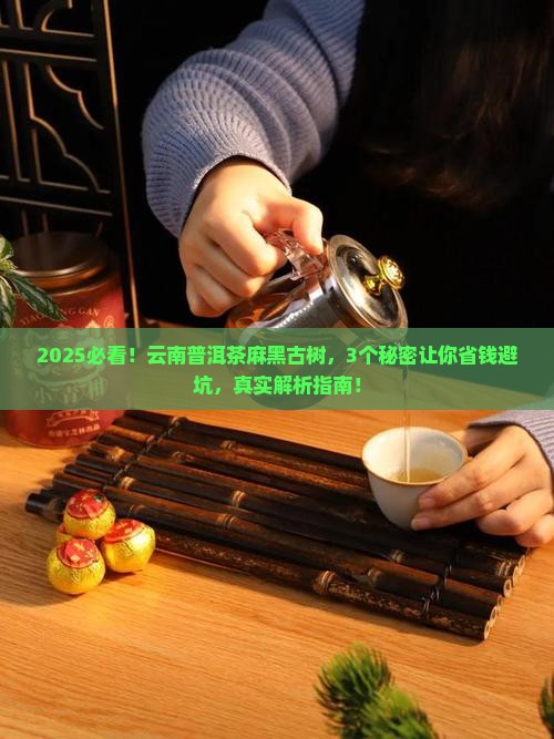 云南普洱茶麻黑古树