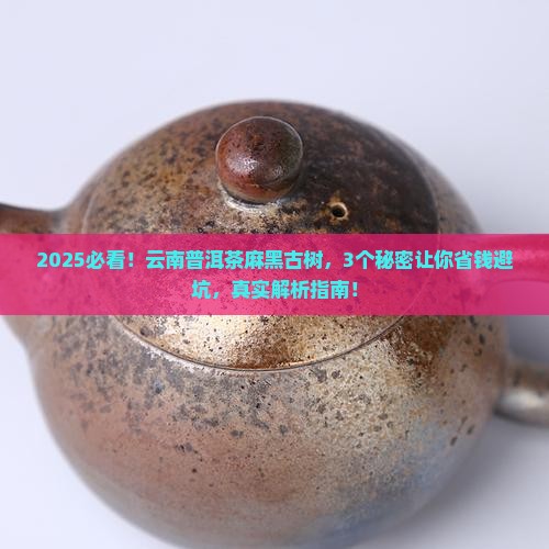 云南普洱茶麻黑古树