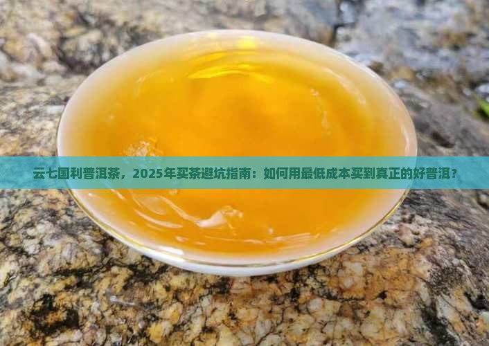 云七国利普洱茶