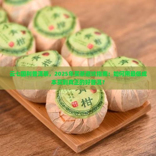云七国利普洱茶