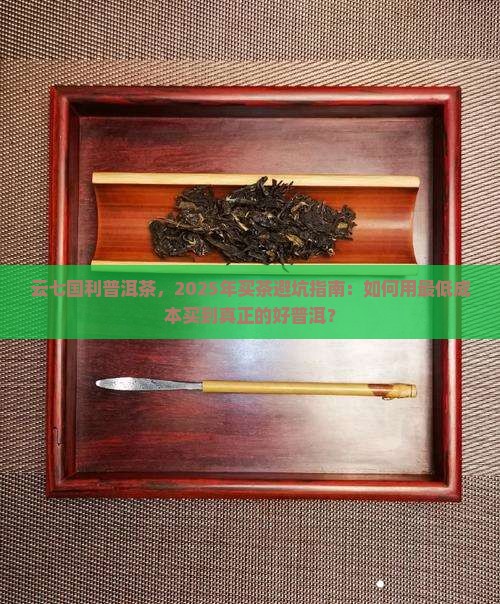 云七国利普洱茶