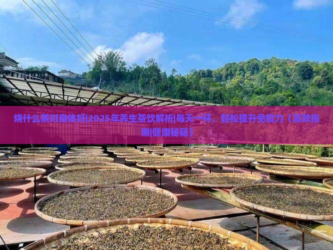 烧什么茶对身体好