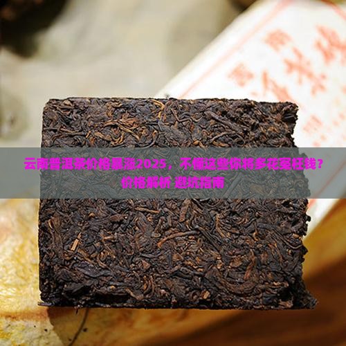 云南普洱茶价格讲解