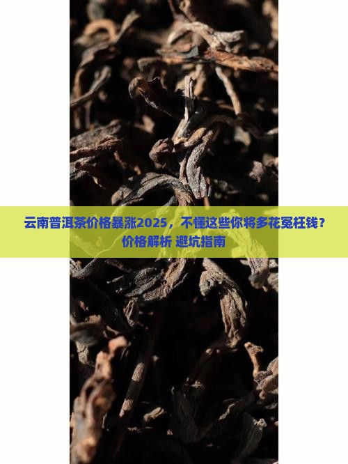 云南普洱茶价格讲解