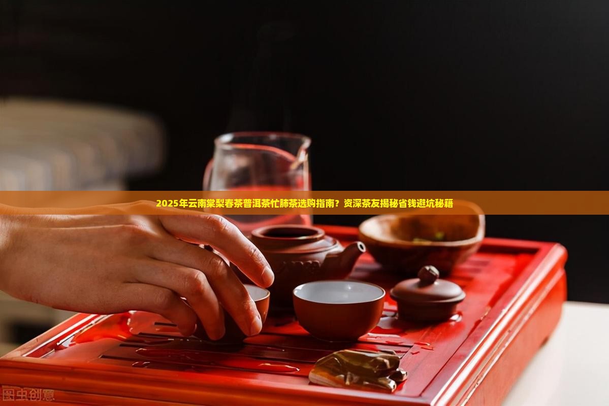 云南棠梨春茶普洱茶忙肺茶