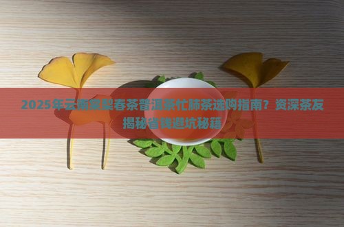 云南棠梨春茶普洱茶忙肺茶