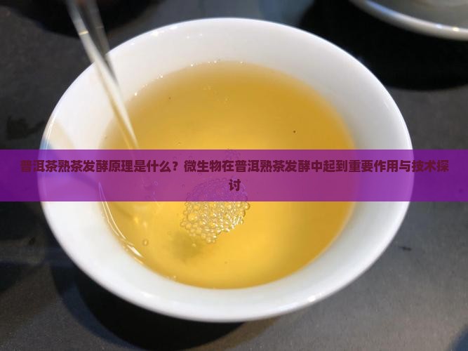 普洱茶熟茶发酵原理是什么