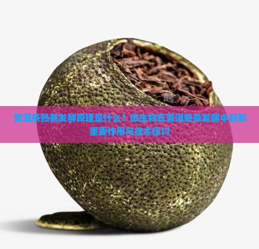 普洱茶熟茶发酵原理是什么