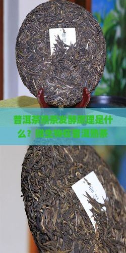 普洱茶熟茶发酵原理是什么
