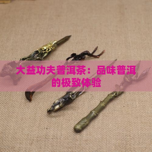 大益普洱茶一品功夫 大益普洱茶一品功夫