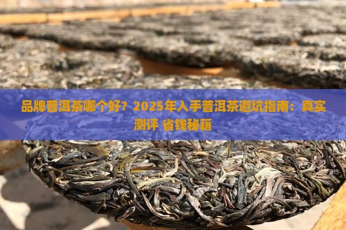 品牌普洱茶哪个好