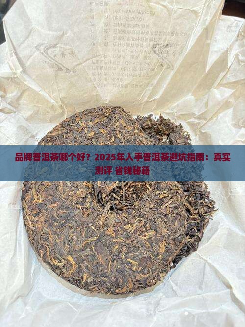 品牌普洱茶哪个好