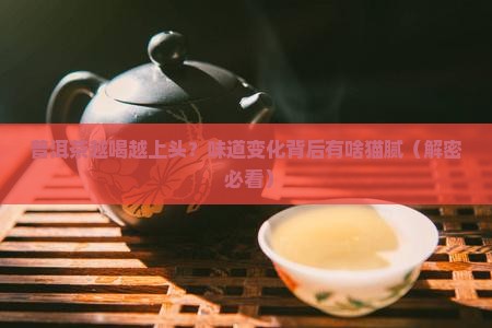 普洱茶味道变化