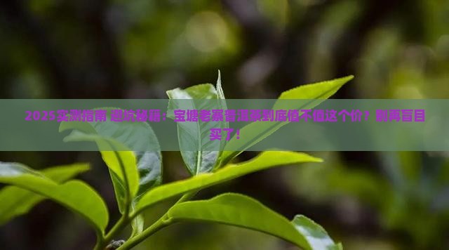 宝塘老寨普洱茶怎么样