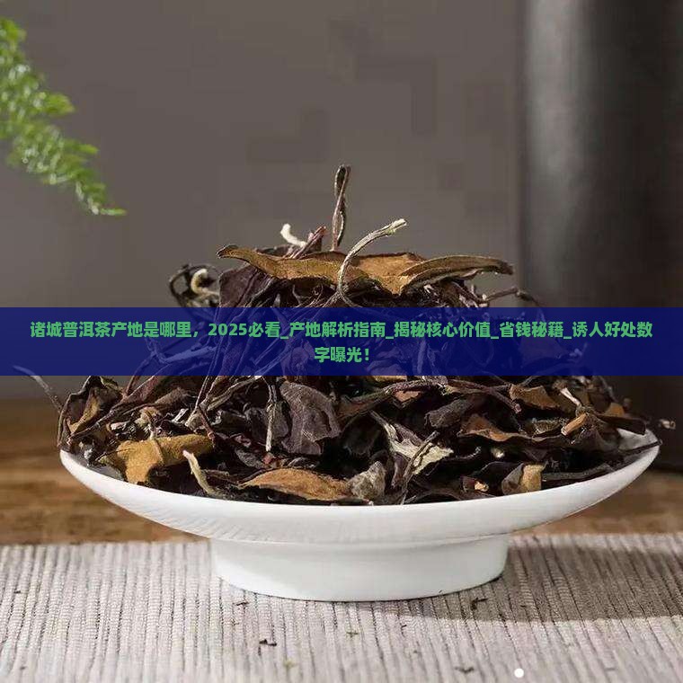 诸城普洱茶产地是哪里