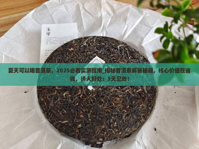 夏天可以喝普洱茶