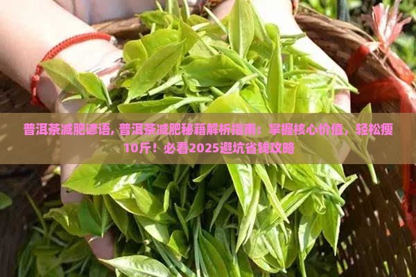 普洱茶减肥谚语
