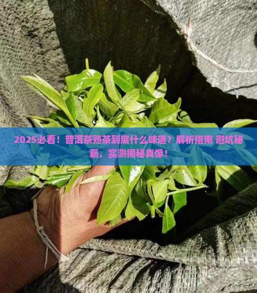 普洱茶熟的是什么味道