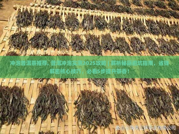 冲泡普洱茶推荐