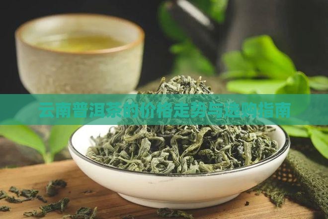云南慢慢普洱茶