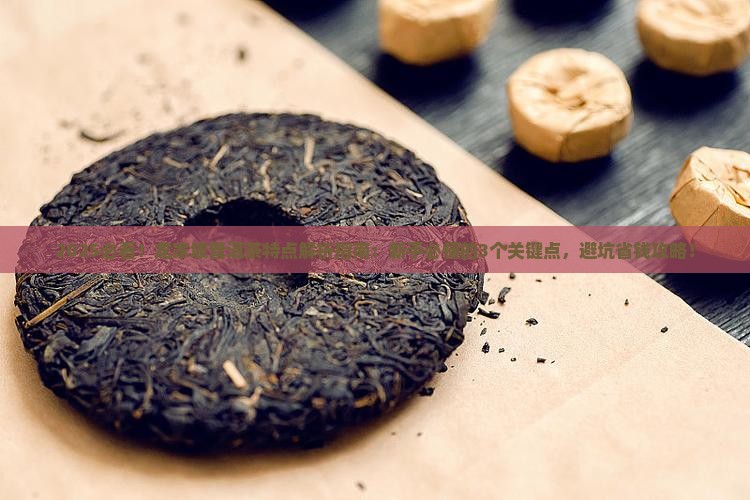 龙家坡普洱茶特点