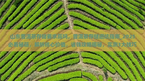 山东普洱茶存储要求高吗
