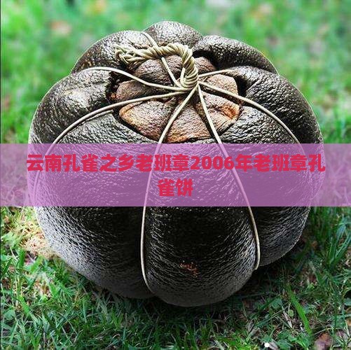 云南孔雀之乡老班章