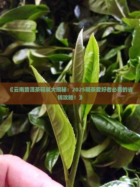 云南普洱茶箱装 云南普洱茶箱装