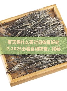 夏天喝什么茶对身体有好处