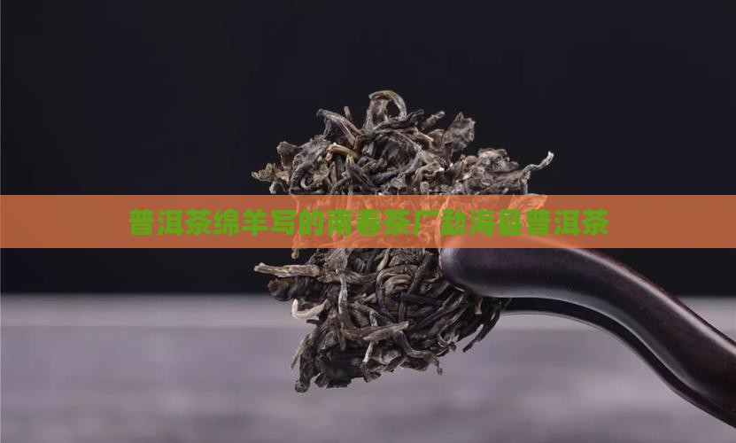 普洱茶绵羊写的南春茶厂