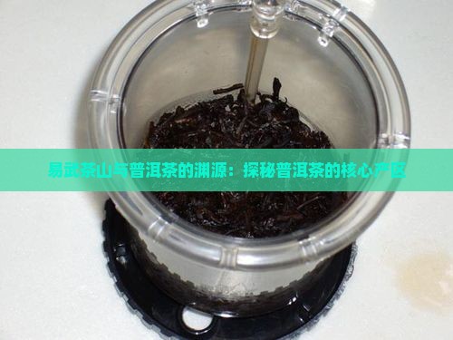 易武茶山有哪些