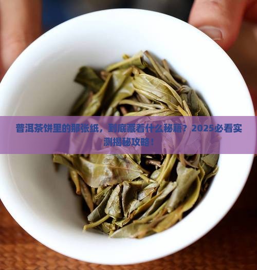 普洱茶饼里的那个纸