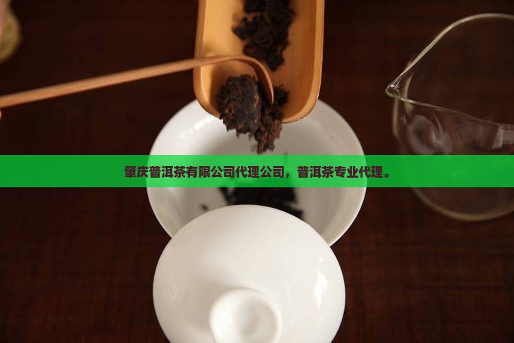 肇庆普洱茶品牌代理公司