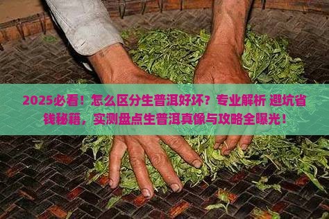 怎么区分生普洱好坏