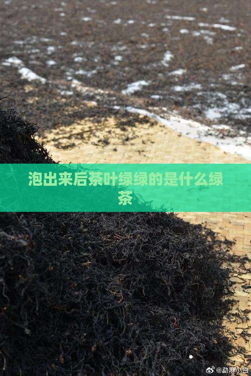 泡出来后茶叶绿绿的是什么茶
