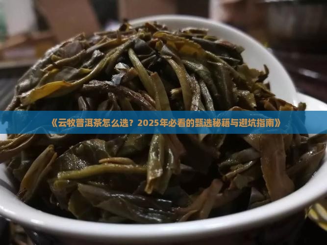 云牧普洱茶甄选精选
